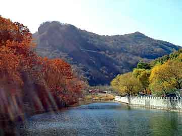 新澳天天开奖资料大全旅游团，下水道美人鱼剧照